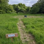 Ash Pitch Pic