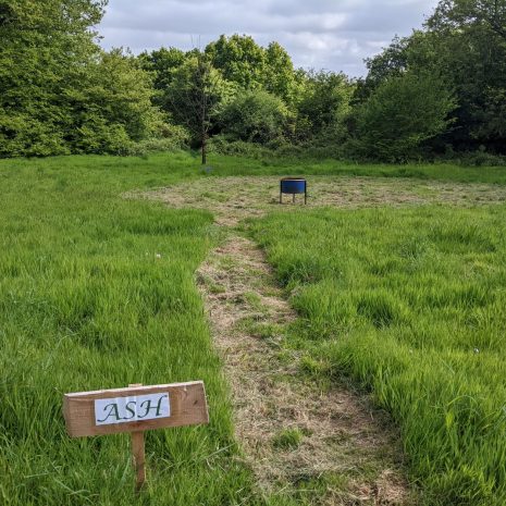 Ash Pitch Pic