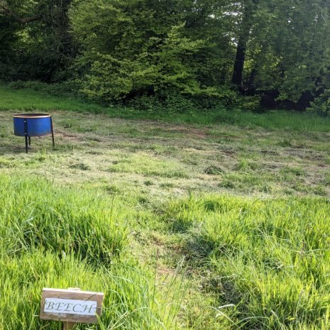 Beech Pitch Pic