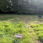 Hawthornne Pitch Pic