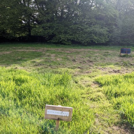 Hawthornne Pitch Pic