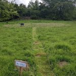 Hazel Pitch Pic