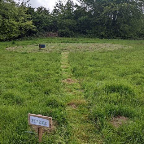 Hazel Pitch Pic