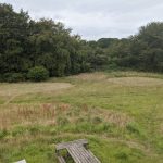 wild camping dyfed, south wales